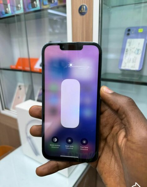 iPhone 13 Pro Max 256GB