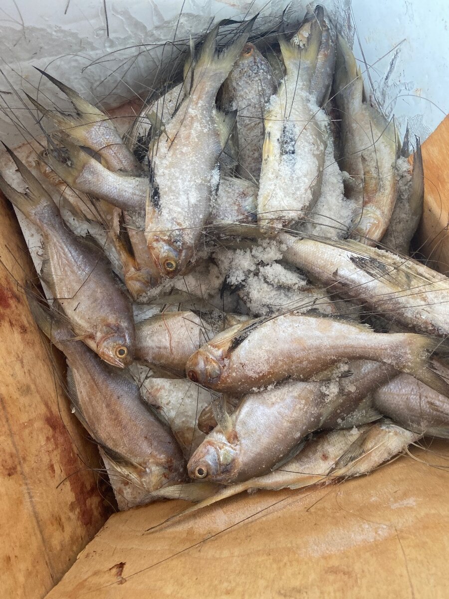 Le lot de 12 à 1000f