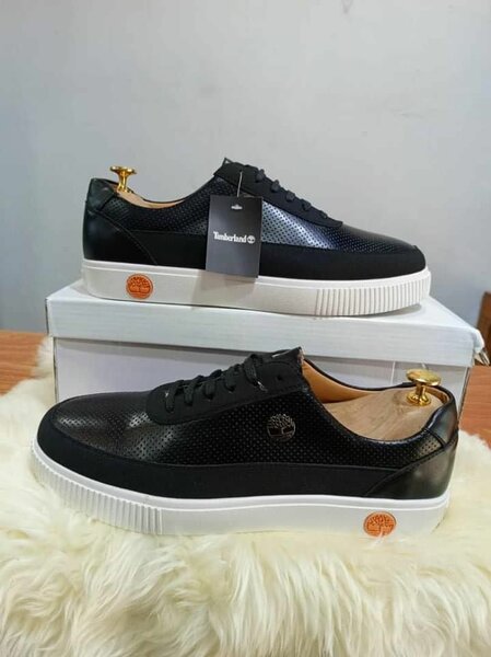 Chaussures Timberland