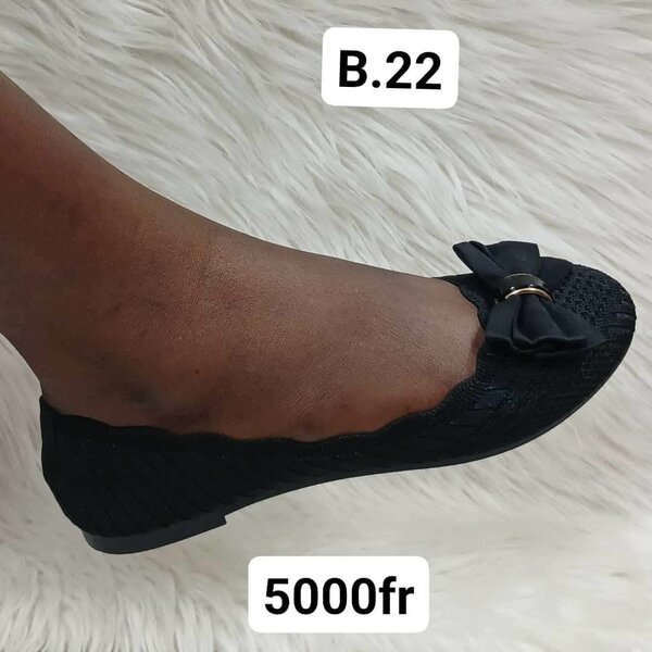 Chic ballerine