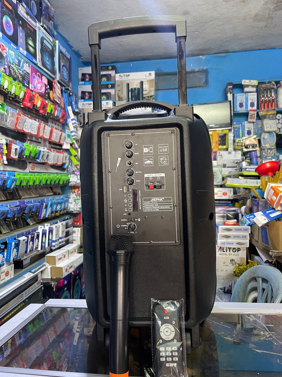 Enceinte portable Karaoké 12"