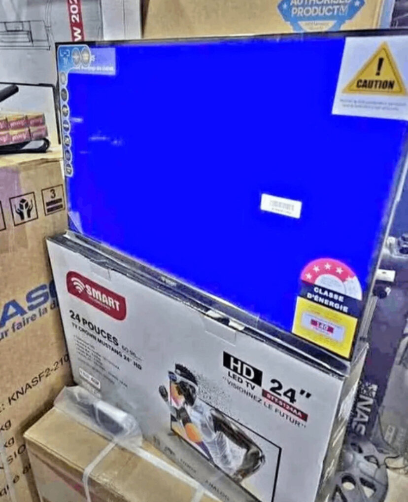 Téléviseur HD LED 24 pouces