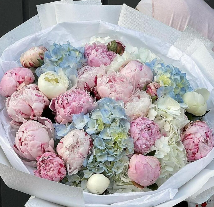 Пионы голландские