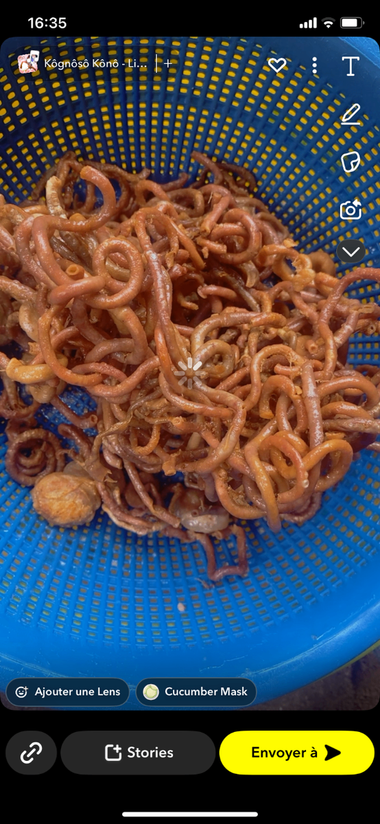 Poulpe Grillé Délicieux