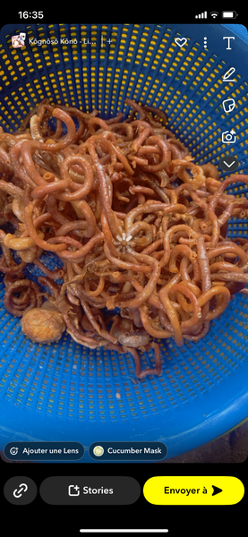 Poulpe Grillé Délicieux