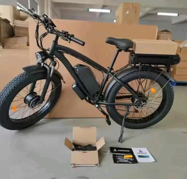 Vélo électrique Bosch puissant