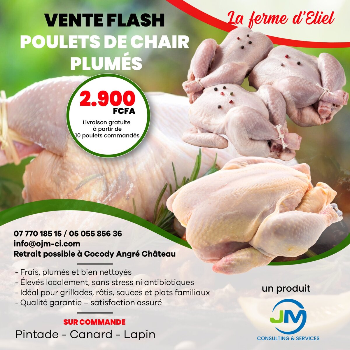 Poulets de Chair Plumés