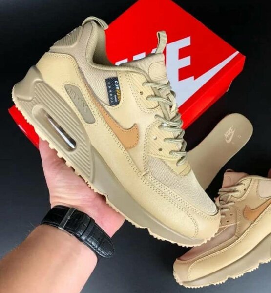 Chaussure homme Air Max