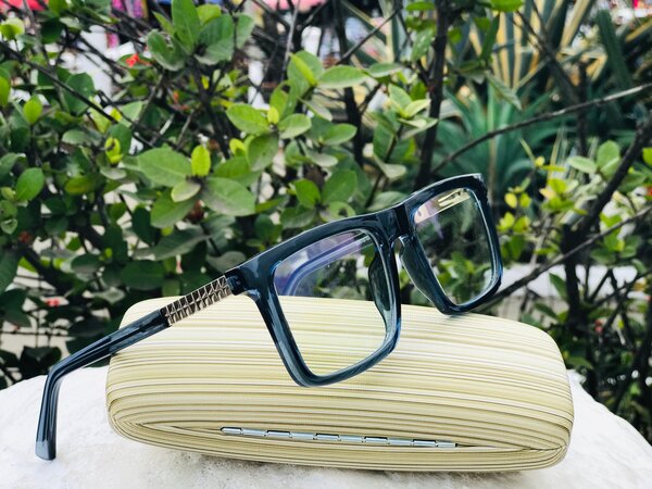 Posigee optical frames