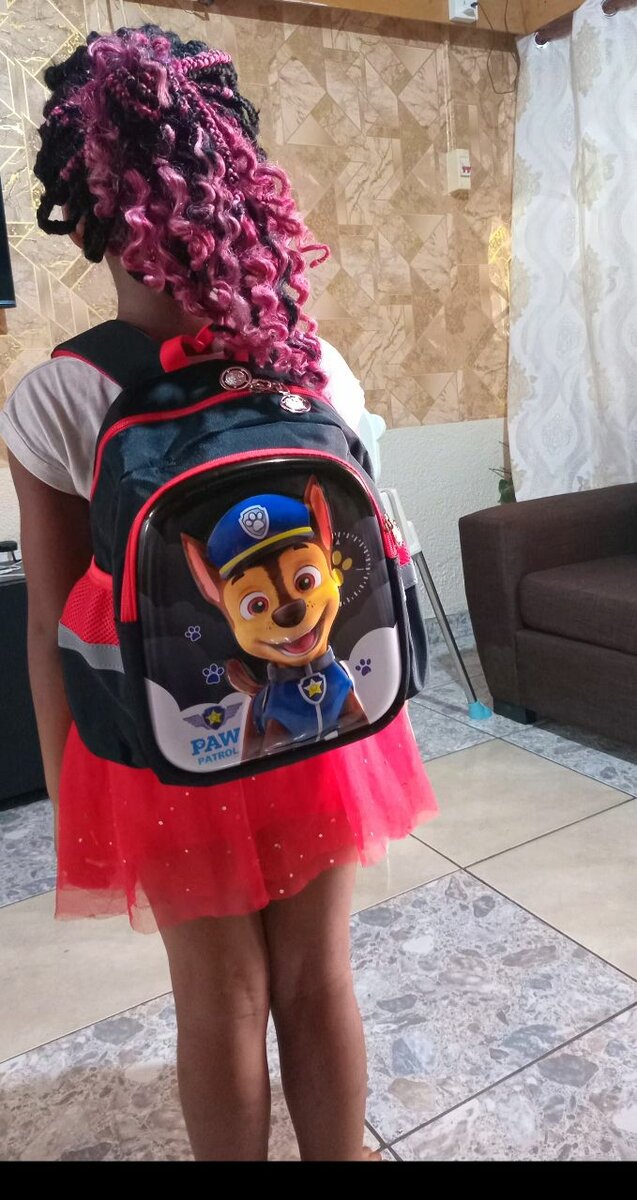 Pawpatrol schoolbag for kids
