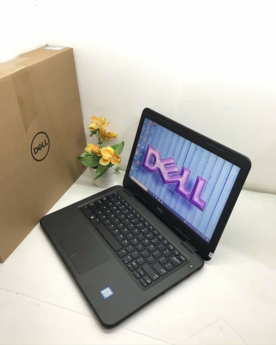 Dell Latitude 3300