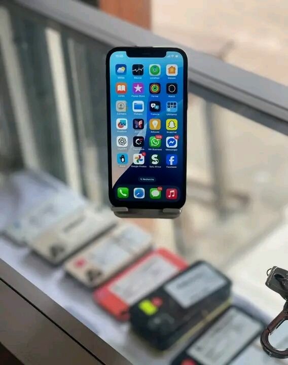 iPhone 12 Pro Max 128 Go