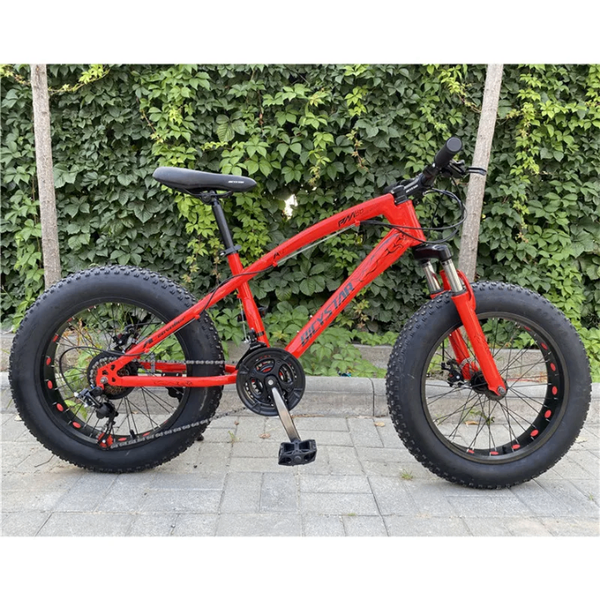 Vélo tout-terrain robuste
