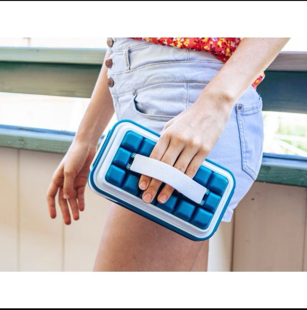 Moules/ Bac à Glaçons Pliable