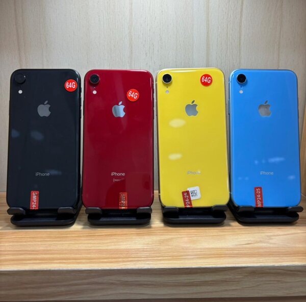 iPhone 11 & XR quasineuf