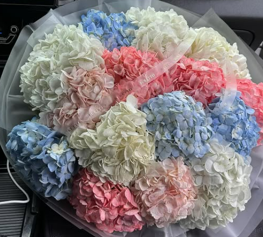  Королевские Гортензии 🤩