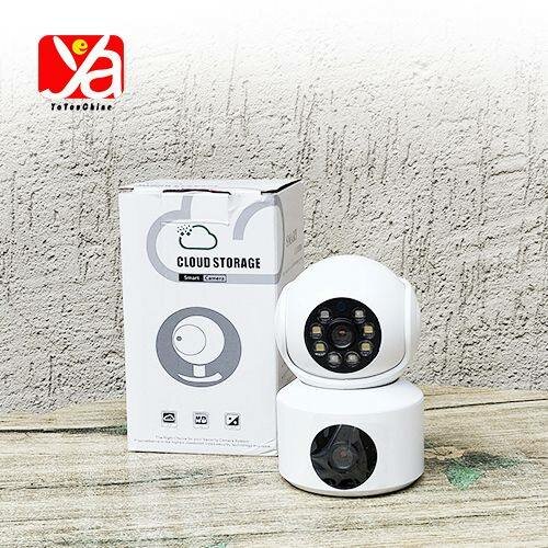 Caméra IP WiFi Sécurité HD