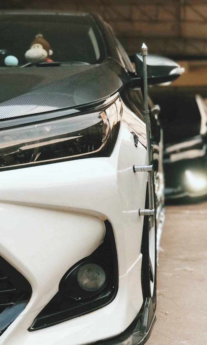 CARS BUMPER FLAG ROD