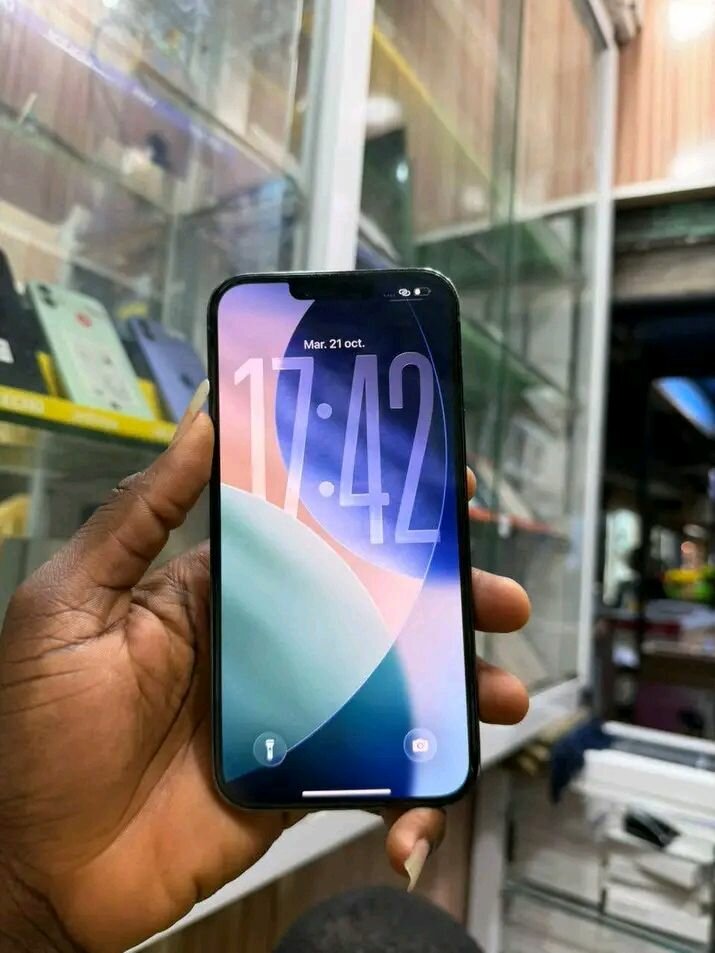 iPhone Pro Max 512 Go