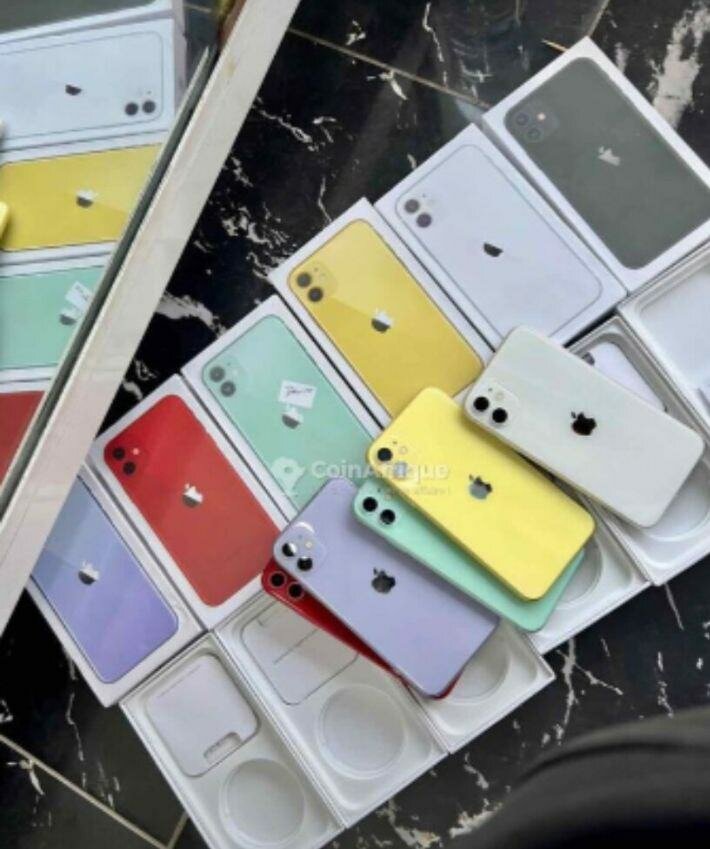 iPhone 11 Multicolore 64 Go