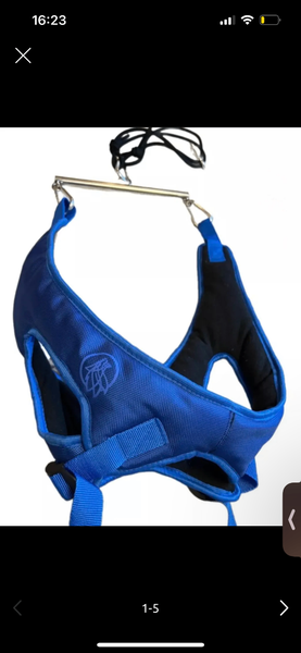 Петля глиссона