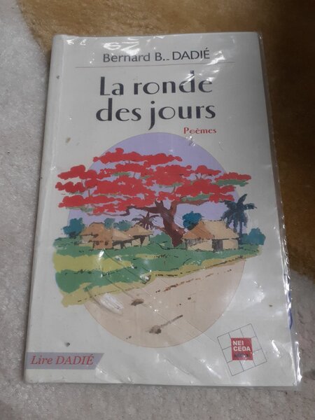 Ensemble de Livres Divers