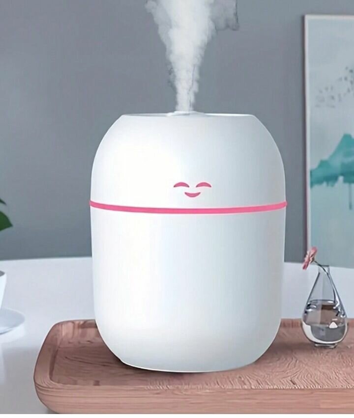 (01)PURIFICATEUR D'AIR _220 mL