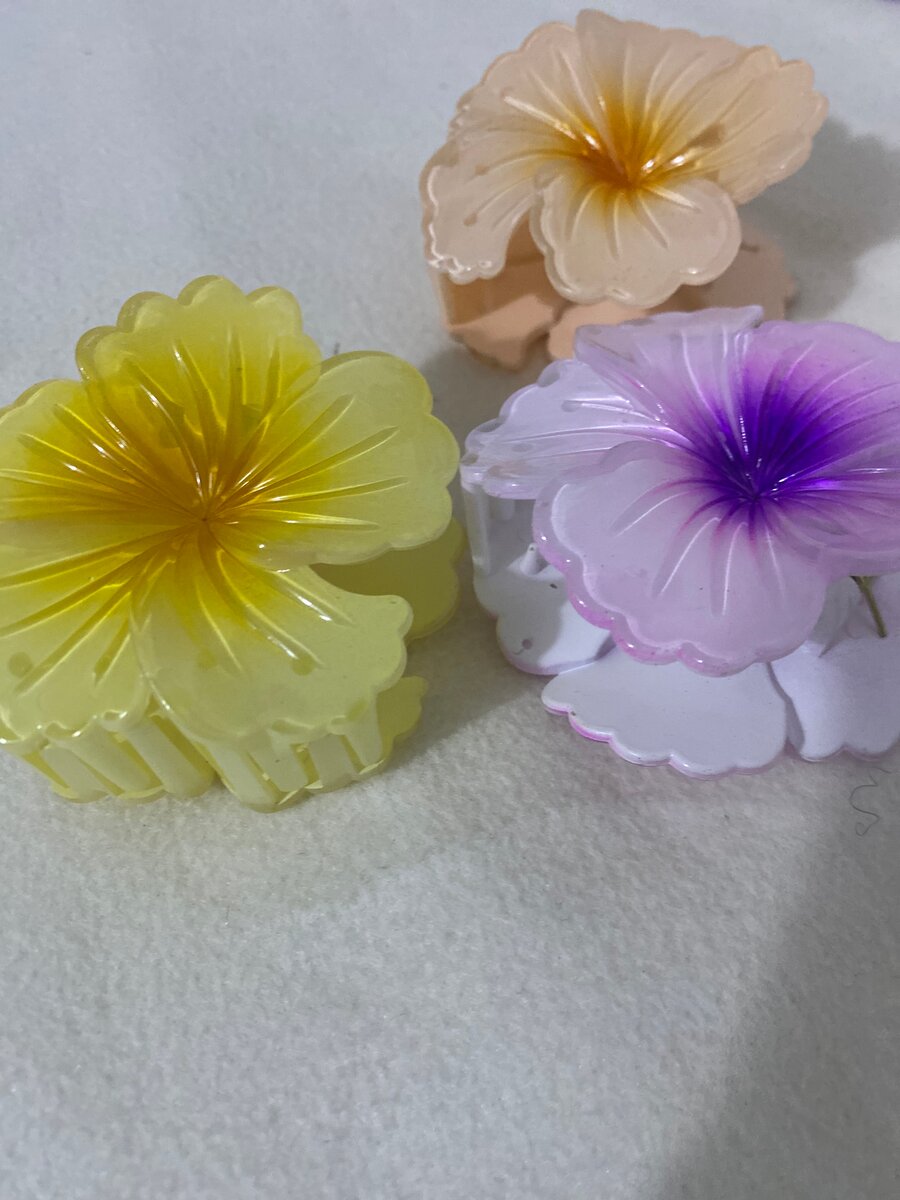 Pinces à cheveux fleurs colorées