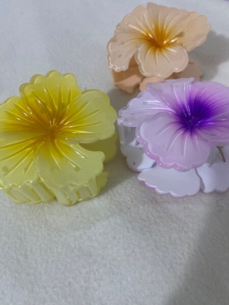 Pinces à cheveux fleurs colorées
