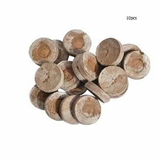 bouchons démarrage de graine