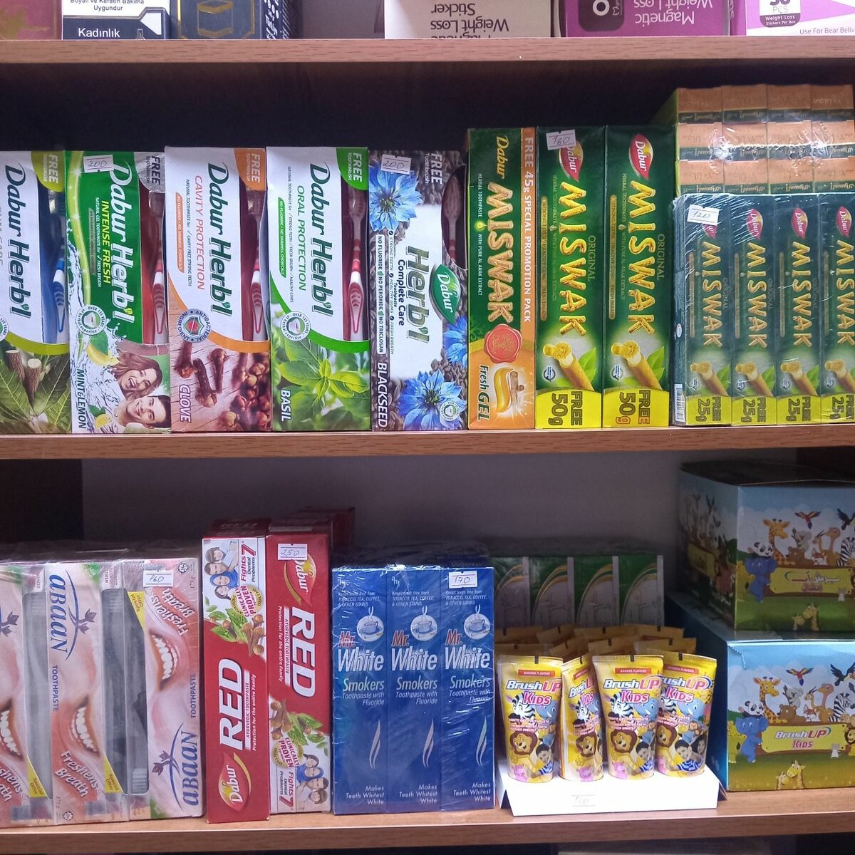 Зуб.поста.Мисфак,Ред