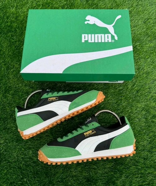 Chaussure puma