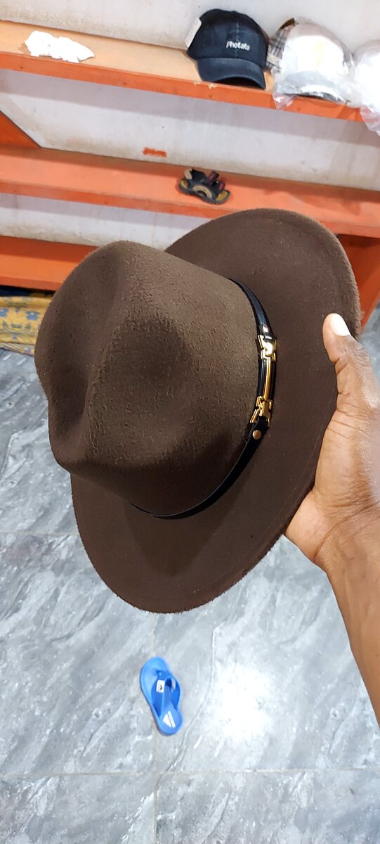 Chapeaux Fedora Élégants