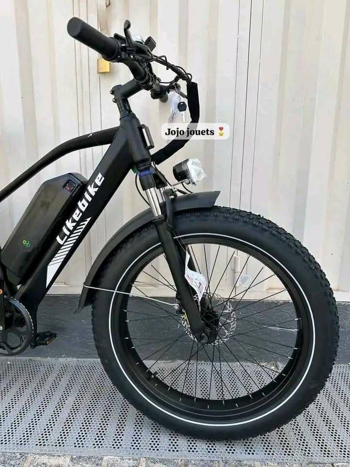 Vélo électrique tout-terrain performant