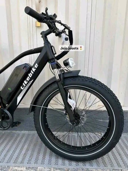 Vélo électrique tout-terrain performant