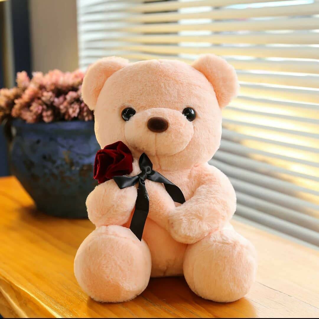 Adorable Teddy Bear Fluffy