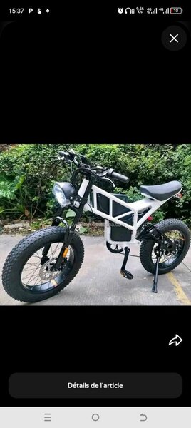 Vélo électrique tout-terrain puissant