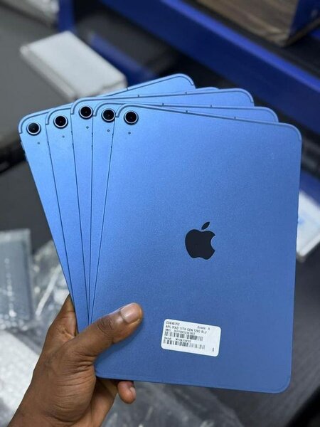 Apple iPad Mini Bleu