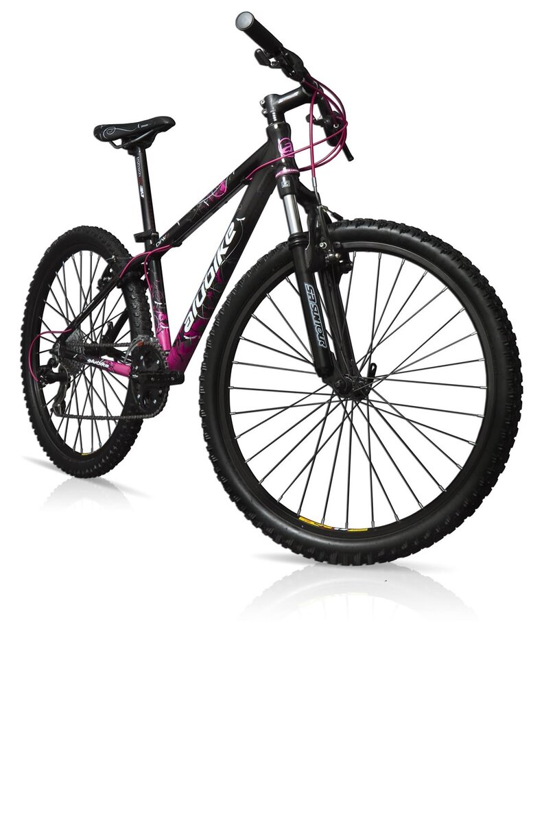 Vélo tout-terrain sportif