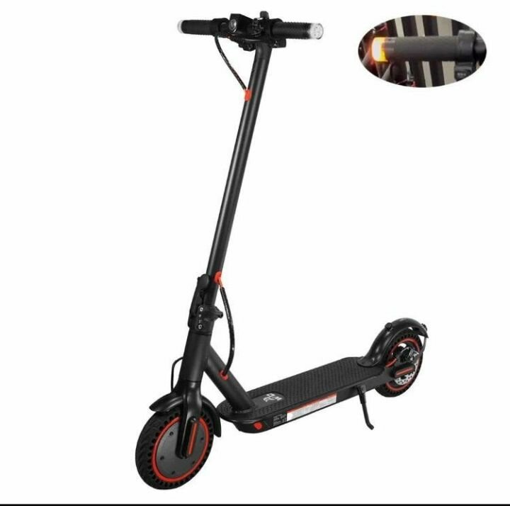 Trottinette Électrique Puissante