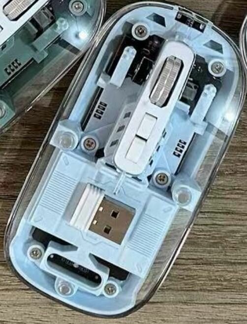 Transparent mouse
