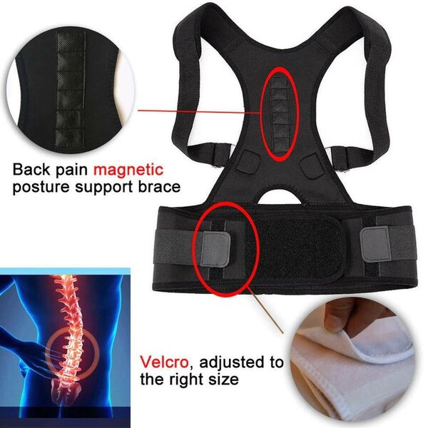 Posture belt