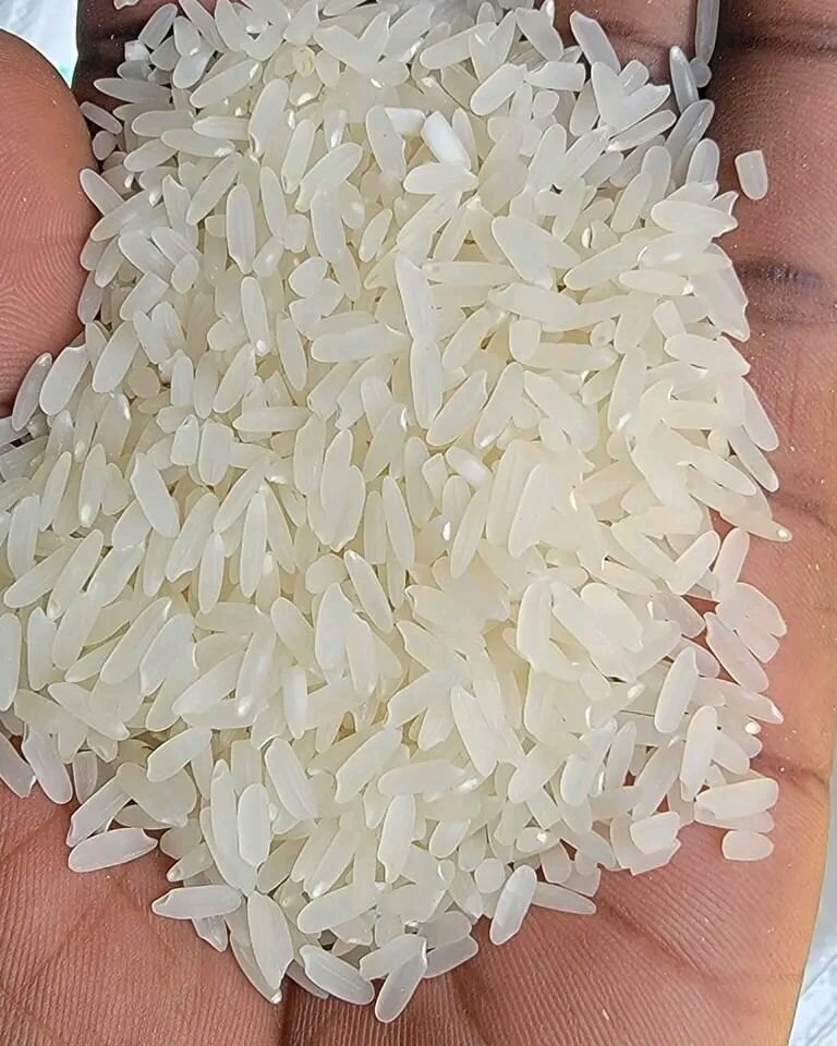 Rice
