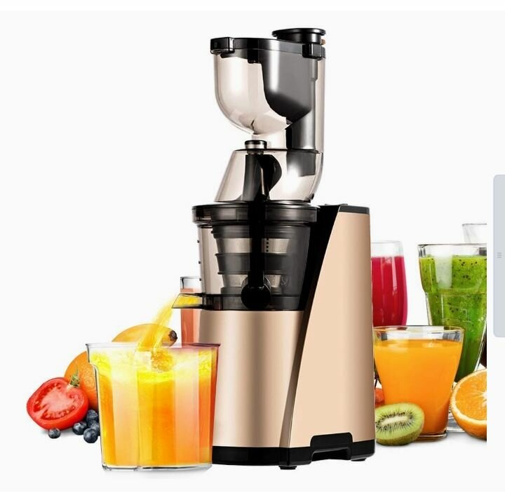 Biochef whole slow Juicer Multipurpose