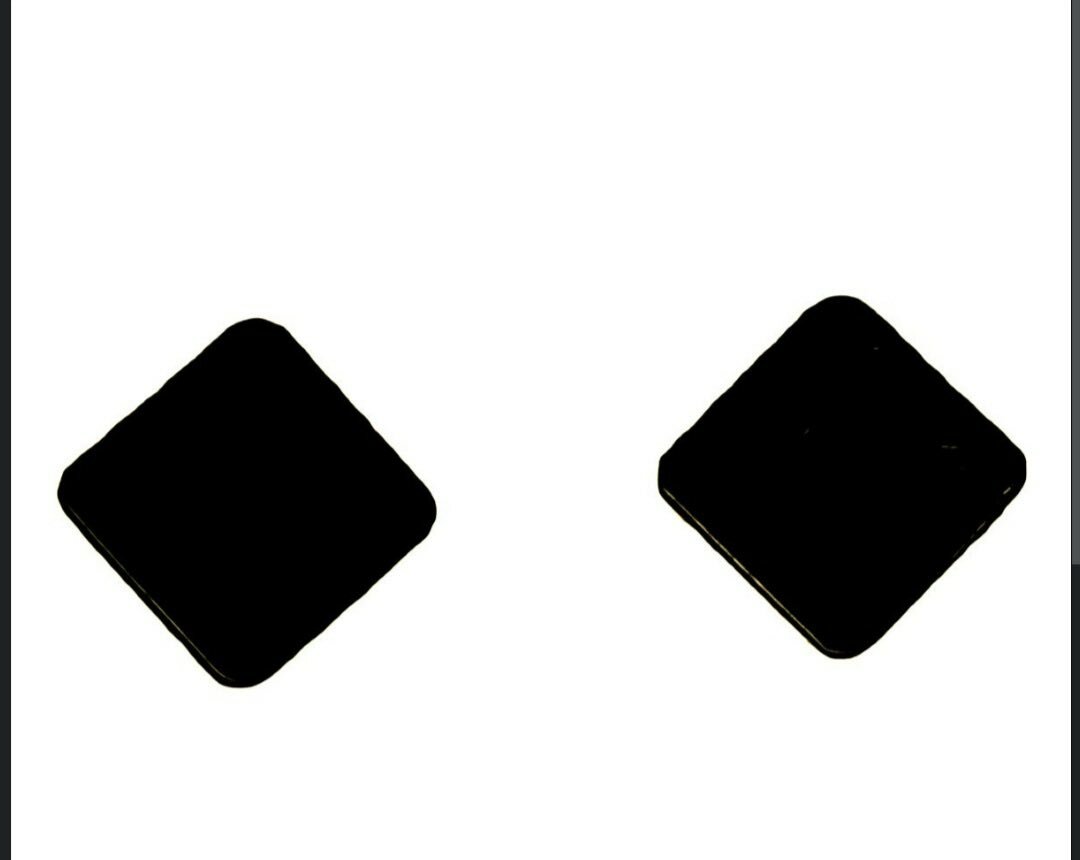 Black magnetic earrings