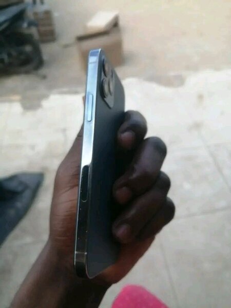 iPhone 12 Pro Max Gris