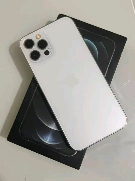 iPhone 12 pro max
