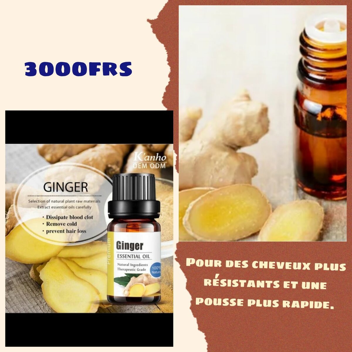 Huiles Essentielles Thérapeutiques