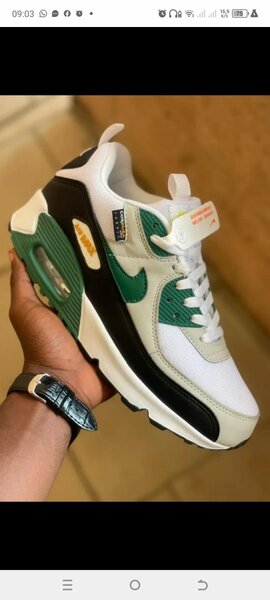 Baskets Air Max classiques