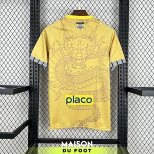 Maillot de Football Jaune Dragon